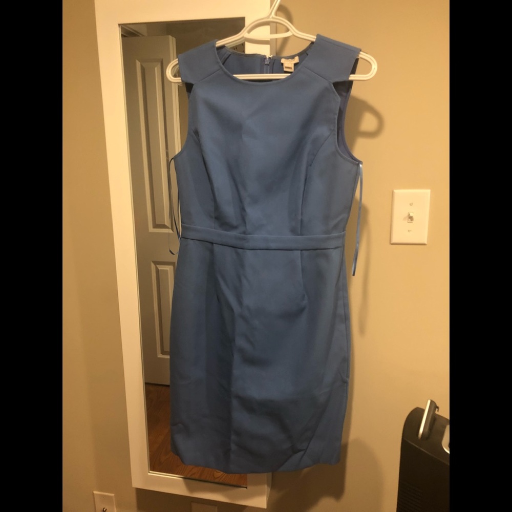 Sleeveless Fitted Dress